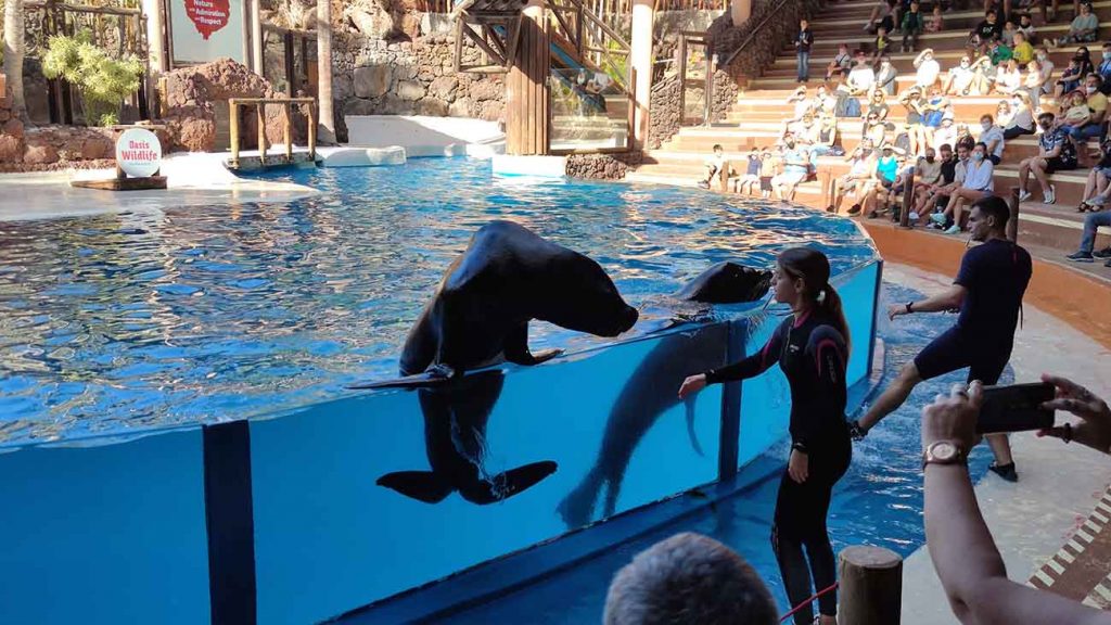 leoni-marini-fuerteventura