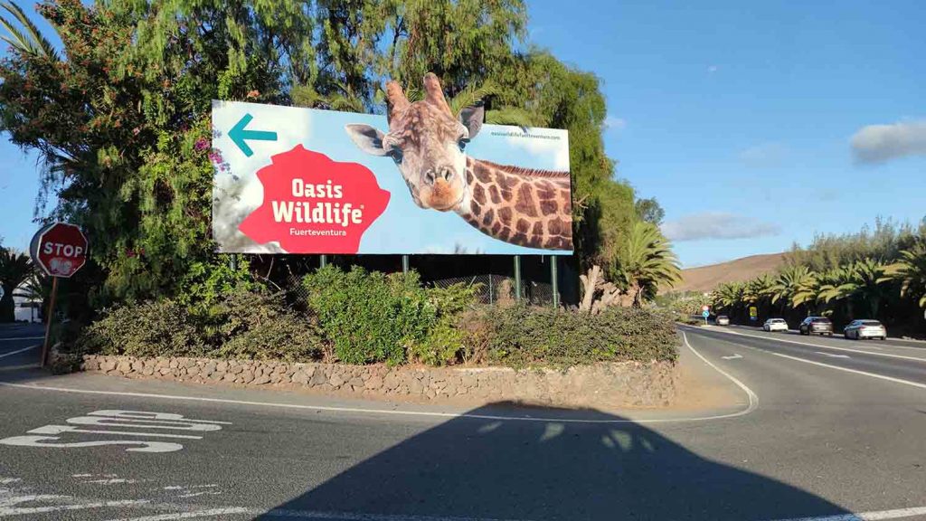 Oasis Wildlife Park: molto più di uno Zoo a Fuerteventura 1 oasis wildlife
