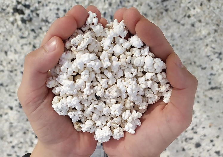 popcorn-beach
